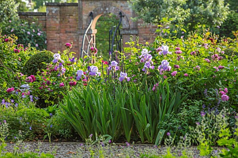 MORTON_HALL_WORCESTERSHIRE_SOUTH_GARDEN_SUMMER_BORDER_WITH_ROSES_AND_IRISES_ENGLISH_COUNTRY_GARDEN
