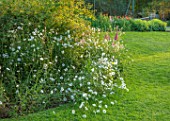ASTHALL MANOR, OXFORDSHIRE: LAWN, BORDER OF OX EYE DAISIES AND FOXGLOVES, SUMMER, ENGLISH, COUNTRY, GARDEN