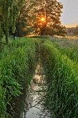 ASTHALL MANOR, OXFORDSHIRE: SUNSET OVER THE MILL STREAM IN THE WINDRUSH VALLEY, WATER, SUMMER, COUNTRYSIDE