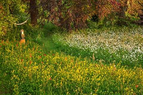 ASTHALL_MANOR_OXFORDSHIRE_PATH_OX_EYE_DAISIES_MEADOW_SUNRISE_ENGLISH_COUNTRY_GARDEN_SUMMER