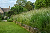 ASTHALL MANOR, OXFORDSHIRE: LAWN, OX EYE DAISIES, MEADOW, SLOPE, SLOPING, SLOPES, MANOR HOUSE, SUMMER, ENGLISH, COUNTRY, GARDENS, WALL, STONE