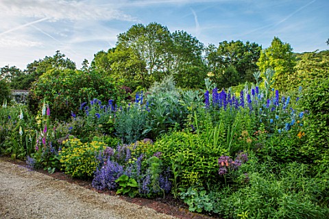 WORMSLEY_BUCKINGHAMSHIRE_THE_WALLED_GARDEN__BORDER_WITH_DELPHINIUMS_PERENNIALS_SUMMER_ENGLISH_COUNTR