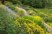 SOUTH HAYES, OXFORD: DESIGNER SARAH NAYBOUR: GARDEN ON A SLOPE - GRAVEL PATHS, ACHILLEA MOONSHINE, STIPA TENUISSIMA. SLOPING, SLOPES