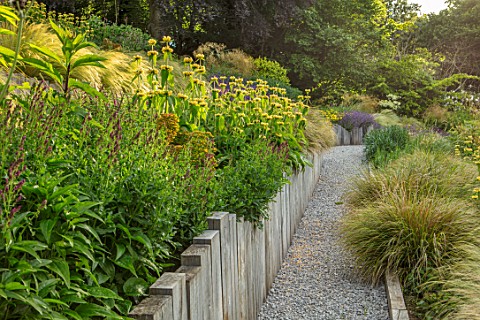 SOUTH_HAYES_OXFORD_DESIGNER_SARAH_NAYBOUR_GARDEN_ON_A_SLOPE__GRAVEL_PATHS_STIPA_TENUISSIMA_SLOPING_S