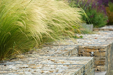 SOUTH_HAYES_OXFORD_DESIGNER_SARAH_NAYBOUR_GARDEN_ON_A_SLOPE__STIPA_TENUISSIMA_ABOVE_GABIONS_STONE_ME