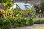 THE WALLED GARDEN AT COWDRAY, WEST SUSSEX: PATHS, BOX PARTERRE, BORDERS, ROSES, RED FLOWERS, ENGLISH, COUNTRY, GARDEN, GREENHOUSE, SUMMER