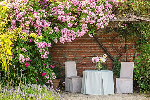 THE_WALLED_GARDEN_AT_COWDRAY_WEST_SUSSEX_ROSE_ARBOUR_ROSA_APPLE_BLOSSOM_TABLE_CHAIRS_PLACE_TO_SIT_AL