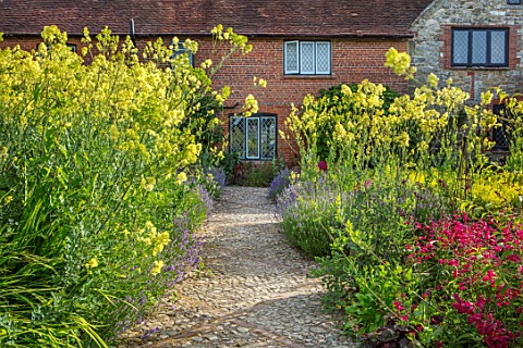 THE_WALLED_GARDEN_AT_COWDRAY_WEST_SUSSEX_GRAVEL_PATH_ENGLISH_COUNTRY_GARDEN_BORDER_WITH_THALICTRUM_F