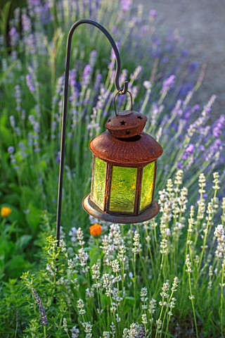 THE_WALLED_GARDEN_AT_COWDRAY_WEST_SUSSEX_ENGLISH_COUNTRY_GARDEN_LANTERN_LAMP_LIGHTING_IN_BORDER_LAVE