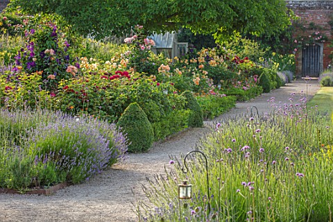 THE_WALLED_GARDEN_AT_COWDRAY_WEST_SUSSEX_ENGLISH_COUNTRY_GARDEN_BORDERS_OF_YELLOW_RED_FLOWERED_ROSES