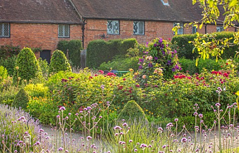 THE_WALLED_GARDEN_AT_COWDRAY_WEST_SUSSEX_ENGLISH_COUNTRY_GARDEN_BORDERS_OF_RED_FLOWERED_ROSES_SUMMER