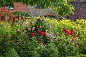 THE WALLED GARDEN AT COWDRAY, WEST SUSSEX: ENGLISH, COUNTRY, GARDEN, BORDER WITH THALICTRUM FLAVUM SSP. GLAUCUM, PERENNIALS, SUMMER, YELLOW FLOWERS, ROSES