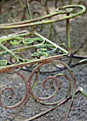 THE WALLED GARDEN AT COWDRAY, WEST SUSSEX: CLOSE UP OF METAL CHAIR