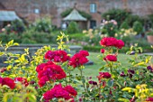 THE WALLED GARDEN AT COWDRAY, WEST SUSSEX: PATH, BORDERS WITH ROSES, ENGLISH, COUNTRY, GARDENS, SUMMER