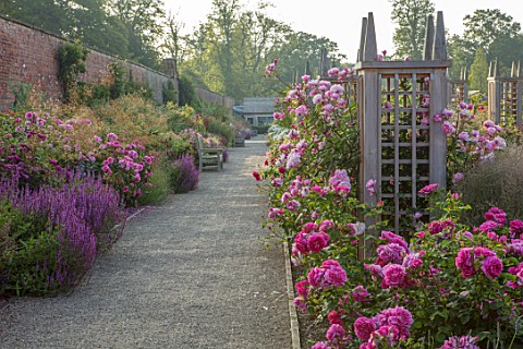 WYNYARD_HALL_COUNTY_DURHAM_GRAVEL_PATH_WOODEN_TRELLIS_SUPPORT_ROSES__ROSA_PRINCESS_ANNE_ROSA_MORTIME