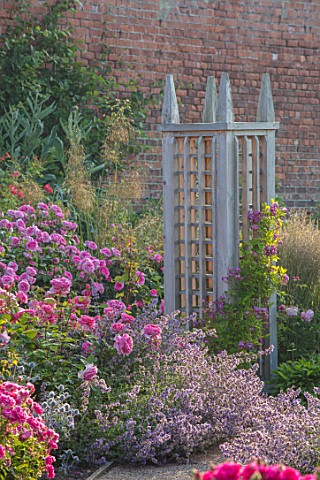 WYNYARD_HALL_COUNTY_DURHAM_ROSES__WOODEN_TRELLIS_SUPPORTS_WALL_WALLED_ROSE_GARDEN_SUMMER_JUNE_ROSA_M