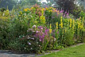 MALVERLEYS, HAMPSHIRE: BORDERS BESIDE HOUSE, ENGLISH, COUNTRY, LAWN, VERBASCUM, INULA, ROSES, FENNEL, WILLOW HERB