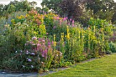 MALVERLEYS, HAMPSHIRE: BORDERS BESIDE HOUSE, ENGLISH, COUNTRY, LAWN, VERBASCUM, INULA, ROSES, FENNEL, WILLOW HERB