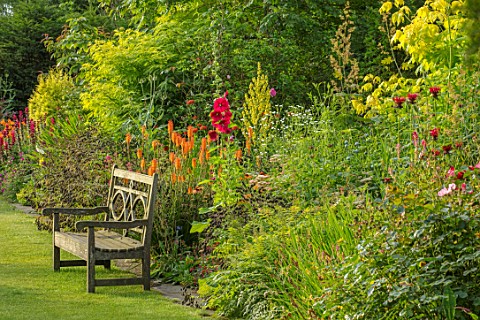 MALVERLEYS_HAMPSHIRE_LAWN_WOODEN_BENCHES_SEATS_HOT_GARDEN_VERBASCUM_KNIPHOFIA_FIERY_FRED_FOLIAGE_GRE