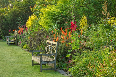 MALVERLEYS_HAMPSHIRE_LAWN_WOODEN_BENCHES_SEATS_HOT_GARDEN_VERBASCUM_KNIPHOFIA_FIERY_FRED_FOLIAGE_GRE