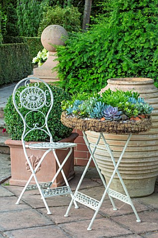 MITTON_MANOR_STAFFORDSHIRE_TABLE_AND_CHAIRS_ON_TERRACE_WITH_TERRACOTTA_CONTAINER_AND_CONTAINER_PLANT