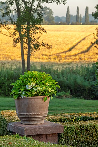 MITTON_MANOR_STAFFORDSHIRE_VIEW_TO_COUNTRYSIDE_WITH_TERRACOTTA_CONTAINER_WITH_HYDRANGEAS_ON_PEDESTAL