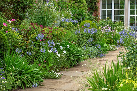 MORTON_HALL_WORCESTERSHIRE_THE_SOUTH_GARDEN_PATHS_BORDERS_AGAPANTHUS_BLUE_TRIUMPHATOR_SUMMER_GARDENS