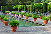 HAMPTON COURT CASTLE, HEREFORDSHIRE:THE DUTCH GARDEN, JULY - BLUE AGAPANTHUS IN TERRACOTTA CONTAINERS , RECTANGULAR FORMAL POOL, CANAL, GARDEN, ENGLISH, WATER, FORMAL