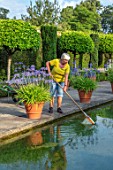 HAMPTON COURT CASTLE, HEREFORDSHIRE: THE DUTCH GARDEN - HEAD GARDENER GAIL BRIDGES CLEANING WATER. TERRACOTTA CONTAINERS OF BLUE AGAPANTHUS, CANAL, POND, POOL