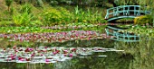 BENNETTS WATER GARDENS, DORSET: LAKE, WATER LILIES, WATERLILIES, BLUE, PAINTED, MONET STYLE, BRIDGE, SUMMER, ENGLISH, POND, POOL, PINK, FLOWERING, WILLOWS, REFLECTIONS, REFLECTED