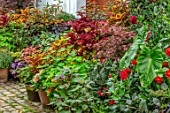 CLAUS DALBY GARDEN, DENMARK: BORDER OF CONTAINERS IN ORNAGES AND REDS PLANTED WITH FOLIAGE OF COLEUS, MAPLES