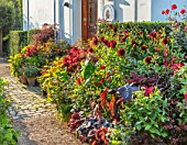 CLAUS DALBY GARDEN, DENMARK: BORDER OF CONTAINERS IN ORANGES AND REDS PLANTED WITH FOLIAGE OF COLEUS, MAPLES, DAHLIAS ARABIAN NIGHT, BEGONIA REX