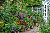 CLAUS DALBY GARDEN, DENMARK: BORDER OF TERRACOTTA CONTAINERS PLANTED WITH PINKS, ORANGES AND LIME GREENS. DAHLIA FASCINATION, FINCHCOCKS, SWEET PEAS, TITHONIA, CALENDULA
