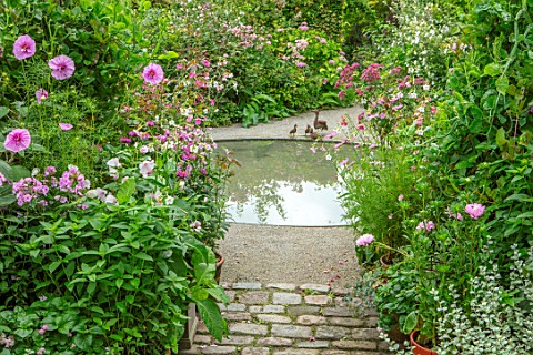 CLAUS_DALBY_GARDEN_DENMARK_THE_VIEW_FROM_THE_GREENHOUSE_ACROSS_CIRCULAR_POOL_POND_WATER