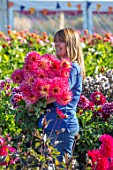 AYLETTS NURSERIES, HERTFORDSHIRE: SUE HENNESSY HOLDING CUT FLOWERS OF DAHLIA NENAKAZI