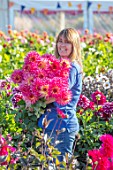 AYLETTS NURSERIES, HERTFORDSHIRE: SUE HENNESSY HOLDING CUT FLOWERS OF DAHLIA NENAKAZI