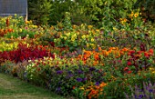 ASTON POTTERY, OXFORDSHIRE: ANNUAL BORDER IN SEPTEMBER. AMARANTHUS HOT BISCUITS, CELOSIA SCARLET PLUME, NICOTIANA, TAGETES CRACKERJACK, SUNFLOWERS. ANNUALS, BORDERS