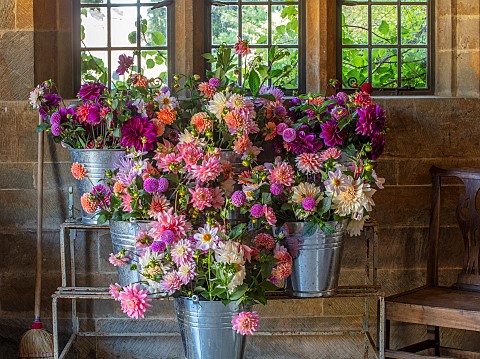 THE_LAND_GARDENERS_WARDINGTON_MANOR_OXFORDSHIRE_CUT_FLOWERS_OF_DAHLIAS_ARRANGED_ON_METAL_STAND_BY_FR