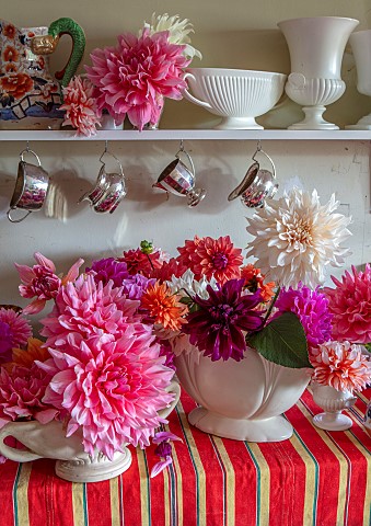 THE_LAND_GARDENERS_WARDINGTON_MANOR_OXFORDSHIRE_CUT_FLOWERS_OF_DAHLIAS_ARRANGED_IN_VASES_IN_THE_FLOW