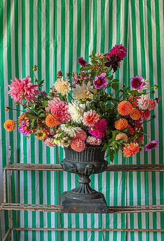 THE_LAND_GARDENERS_WARDINGTON_MANOR_OXFORDSHIRE_CUT_FLOWERS_OF_DAHLIAS_IN_METAL_CONTAINER_VASE_BY_FR