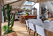 HORSE SHOE BEND, LONDON. DESIGNER MARTHA KREMPEL: MODERN KITCHEN AND DINING TABLE WITH GLASS SLIDING DOORS AND CACTUS. HOUSEPLANTS, KITCHENS