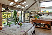 HORSE SHOE BEND, LONDON. DESIGNER MARTHA KREMPEL: MODERN KITCHEN AND DINING TABLE WITH GLASS SLIDING DOORS AND CACTUS. HOUSEPLANTS, KITCHENS