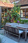 HORSE SHOE BEND, LONDON. DESIGNER MARTHA KREMPEL: COURTYARD GARDEN: WOODEN TABLE AND CHAIRS, QUINCE TREE, FORMAL, SMALL, GARDENS