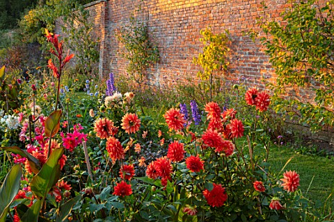 KELMARSH_HALL_NORTHAMPTONSHIRE_BORDER_BESIDE_WALL_WITH_BLUE_DELPHINIUMS_AND_ORANGE_PALE_RED_DAHLIA_T