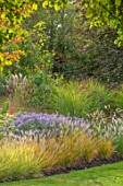 RADCOT HOUSE, OXFORDSHIRE: BORDER IN THE POOL ROOM: PENNISETUM ORIENTALE KARLEY ROSE, ASTER FRIKARTII MONCH, GRASSES, BORDERS, SUMMER, LATE
