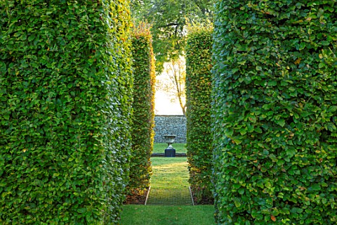 RADCOT_HOUSE_OXFORDSHIRE_VIEW_THROUGH_BEECH_HEDGES_HEDGING_TO_STONE_URN_CONTAINER_IN_LONG_POND_VISTA