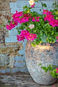 PETTIFERS GARDEN, OXFORDSHIRE: PINK FLOWERS OF GERANIUMS IN TERRACOTTA CONTAINER ON PATIO, BLUE WALL, MEDITERRANEAN, TERRACE
