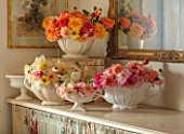 FLOWERS FROM THE FARM, MARBURY HALL, DESIGNER SOFIE PATON-SMITH: FLOWER ROOM - CONSTANCE SPRY VASES WITH DAHLIAS. CUT FLOWERS, CUTTING, DISPLAYS