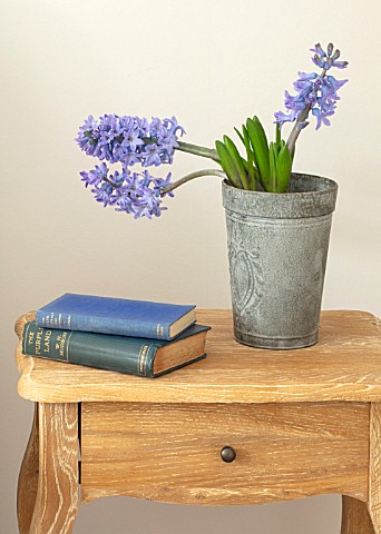 GIBBONS_CROFT_WEST_CLANDON_SURREY_BEDROOM_BOOKS_AND_BLUE_HYACINTH_CUT_FLOWER_IN_METAL_PLANTER_CONTAI