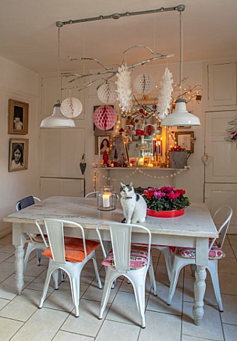 AMANDA_KNOX_HOUSE_GRANTHAM_KITCHEN_DINING_ROOM_CAT_CHRISTMAS_CYCLAMEN_FLOWERS_INDOOR_CANDLES_FIREPLA